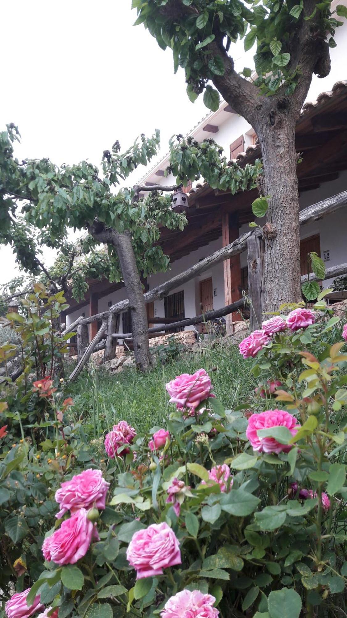 Chorros Del Rio Mundo Bed & Breakfast Riópar Exterior foto