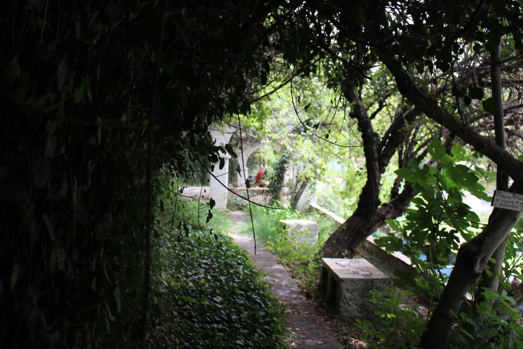 Chorros Del Rio Mundo Bed & Breakfast Riópar Exterior foto