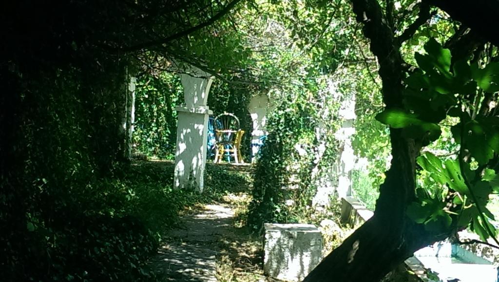 Chorros Del Rio Mundo Bed & Breakfast Riópar Exterior foto